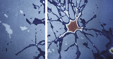 Нейросеть «Яндекса» написала музыку в стиле Скрябина