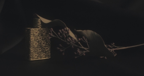 Легендарные ароматы в старинных флаконах — съемка Buro 24/7