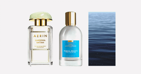 Что нужно знать об ароматах моря, которые помогут продлить лето