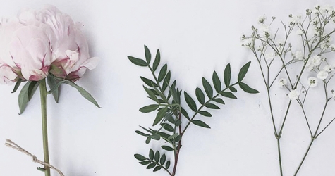 Что такое «гринери» в парфюмерии и почему это тренд