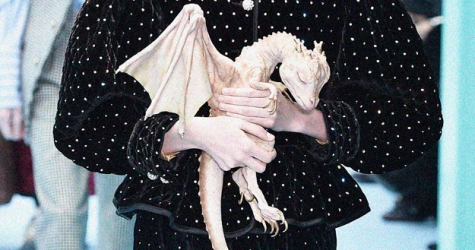 Детеныш дракона, пять щенков и еще 15 способов привлечь внимание к показу