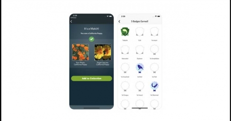 Появился Shazam для определения видов животных и растений