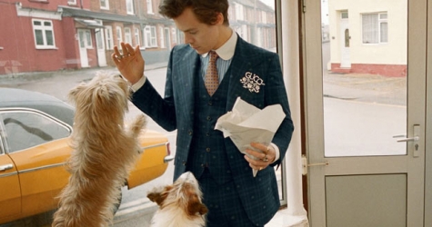 Гарри Стайлс позирует с щенками и домашней птицей в новой кампании Gucci