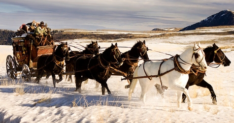 \"Омерзительная восьмерка\": осечка Тарантино