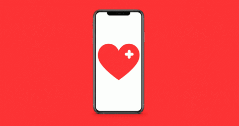 6 сервисов (и гаджетов), которые пригодятся любому владельцу собаки