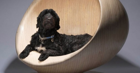 Бюро Захи Хадид и другие известные студии сделали будки для собак