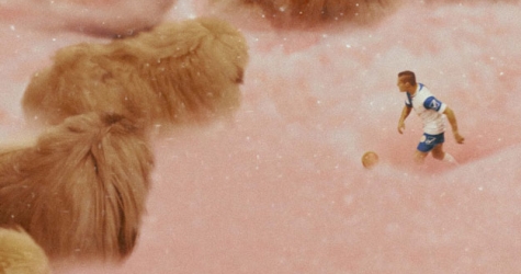 Гортензия мечтательная: «Диамантино» — самый безумный фильм Strelka Film Festival