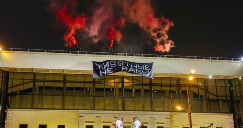 В Москве прошла акция против использования животных в цирках