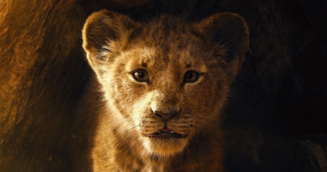 Жизнь джунглей в первом полном трейлере «Короля Льва»