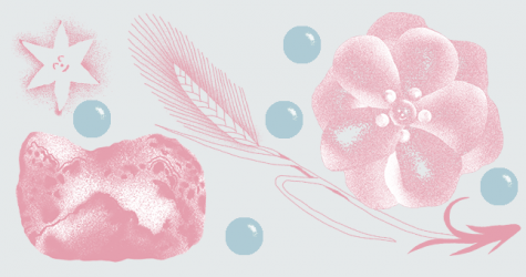 10 фактов о бьюти-компании Amorepacific, которые мало кто знает