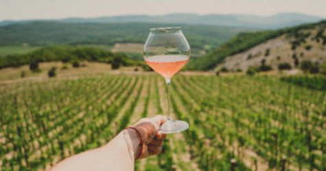 Чем закусывать натуральное вино: долма из мангольда, абрикосовая каша и ягодный гаспачо