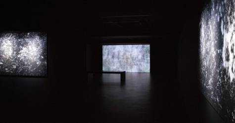 В Москве пройдет мультимедийная выставка японских художников