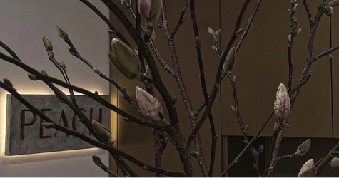 В салоне Peach появилась услуга наращивания ресниц с мокрым эффектом