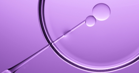 Почему ЭКО может не получиться? Отвечает врач