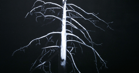 Художники и кураторы — о том, что для них значит программа «Молодые львы» в MMOMA