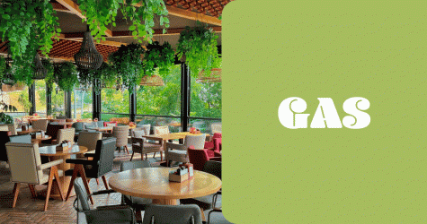 «Крыша», «Тесла бар» и «Печорин»: гастрогид по Пятигорску