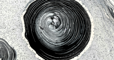 Как поддерживать митохондрии в холодный период? Отвечает нутрициолог