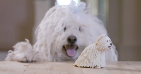 Марк Цукерберг сделал 3D-копию своей собаки