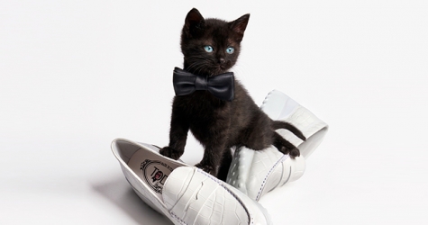 Альбер Эльбаз и Tod’s показали совместную коллекцию