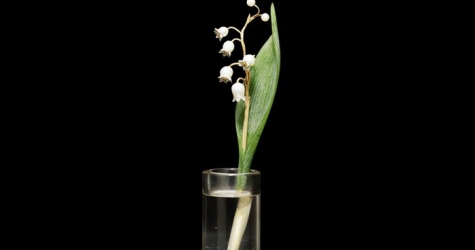 Рерих, Ге и предметы Фаберже на русских торгах Bonhams