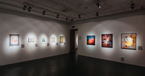 В стенах фонда культуры «Екатерина» открылся выставочный проект «Такеда. ART/HELP. Правило исключительности»