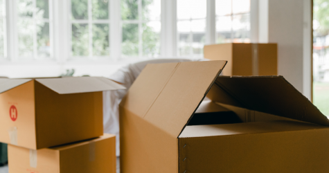 Вопрос психологу: как поддержать себя в период эмиграции