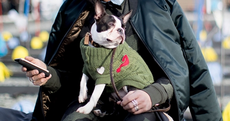 Что носят на Pitti Uomo во Флоренции: часть 1