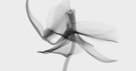 Аборт: что не так с этим вопросом в России и почему о нем всё еще важно говорить