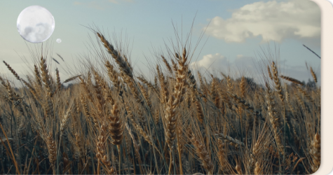 Что слушать о жизни и культуре народов России: 7 подкастов