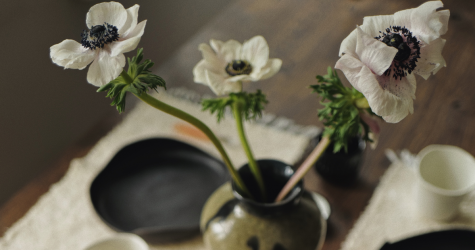 Как создается практичная и эстетичная мебель: история новоиспеченного проекта MoNa