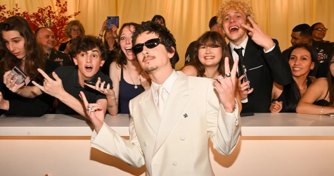 Тимоти Шаламе снимется в экранизации романа Ричарда Пауэрса «Playground»