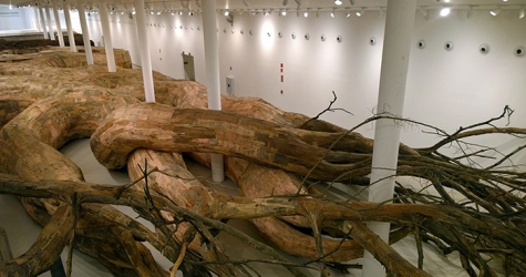 Корни в музейных залах: крупнейшая инсталляция Энрике Оливейры
