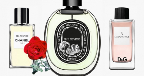 Я услышу тебя: 7 лучших женских ароматов для свиданий