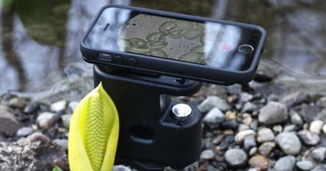 MicrobeScope: первый в мире микроскоп для iPhone