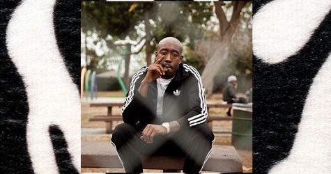 Альбом недели: Мэдлиб и Фредди Гиббс — Piñata