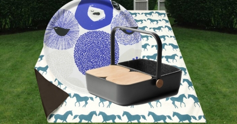 Время для пикника: 5 вещей, без которых вам не обойтись