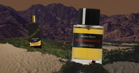 9 согревающих ароматов с корицей