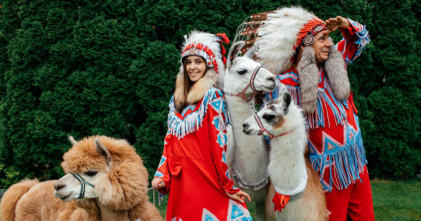 Что делать на выходных, если у вас нет заветного QR-кода