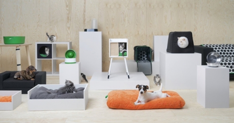 В России появятся товары IKEA для домашних животных