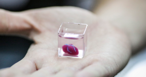 На 3D-принтере впервые напечатали живое сердце