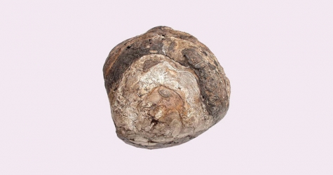 Самые дорогие компоненты в парфюмерии