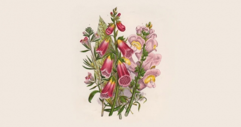 Что такое миллезимы в ароматах и почему важен год выпуска