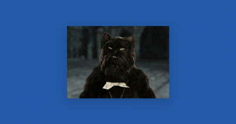 Московский музей Булгакова запустит экскурсии о коте Бегемоте