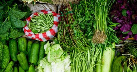 «ВкусВилл» запускает в Москве доставку готовых наборов еды