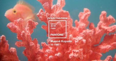 Pantone назвал главный цвет 2019 года
