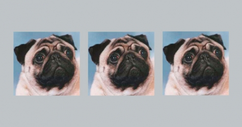 8 смешных и абсурдных пабликов во «ВКонтакте»