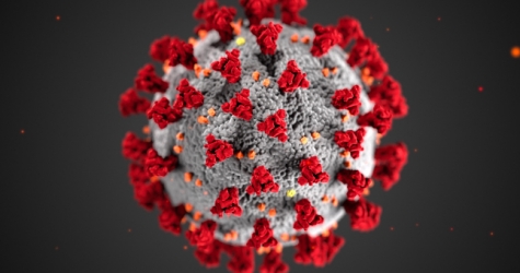 В Сингапуре разработали тест, который выявляет коронавирус за пять минут