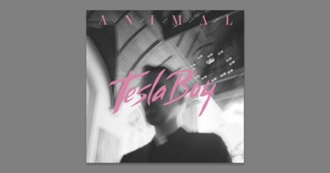 Группа Tesla Boy представила новый сингл «Animal»