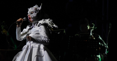 Этим летом Бьорк выступит в Москве