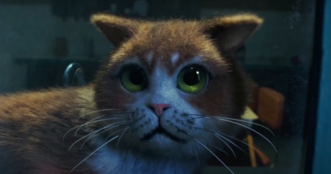 На YouTube появился первый хоррор для кошек — с огурцом в качестве главного злодея